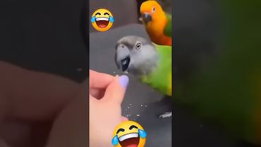 Весёлое настроения 😉😉😉