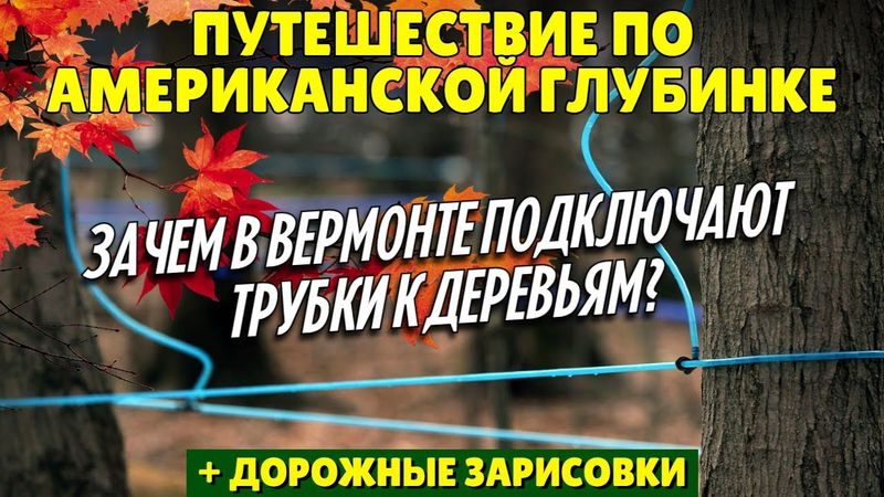 Путешествие по американской глубинке | Зачем в Вермонте подключают трубки к деревьям?