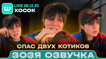 Хосок LIVE 29.12.2025 | Рассказал про своих котов | Озвучка Зозя 🤡 ПЕРЕВОД НА РУССКОМ