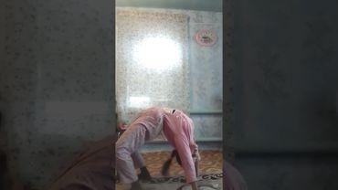 мостик и стойка на локтях