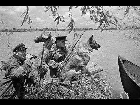22 июня 1941.Нападение Германии на СССР.Начало великой отечественной войны.паника Сталина