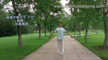 IQB qigong para la salud de la columna dorsal