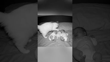 Twin Babies Get Midnight Visitors on Camera...!