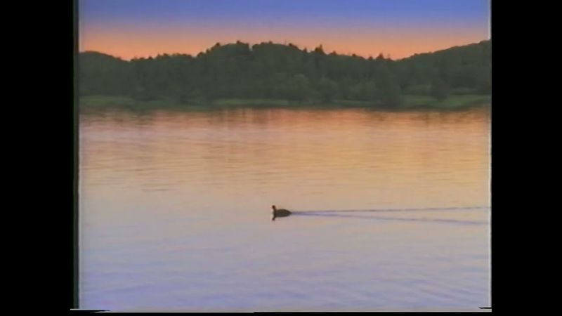 Big Idea/Lyrick Studios (1998/1999)