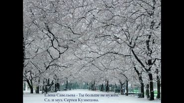 Елена Савельева - Ты больше не нужен. Слова и музыка Сергея Кузнецова.
