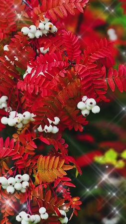 #доброеутрочетверга