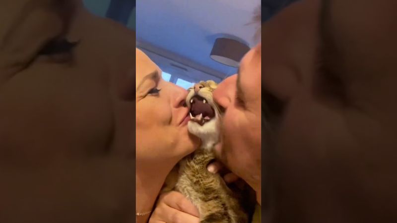 His reaction says it all. #cat #cats #catslovers #fyp