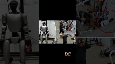 Human-like robot, developed for fighting, goes berserk