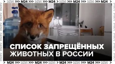 Список запрещённых животных: крокодилы, пумы и другие дикие питомцы больше нельзя держать дома