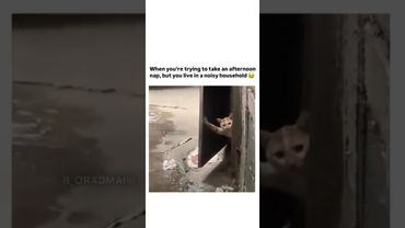 I know this feeling 😭😂