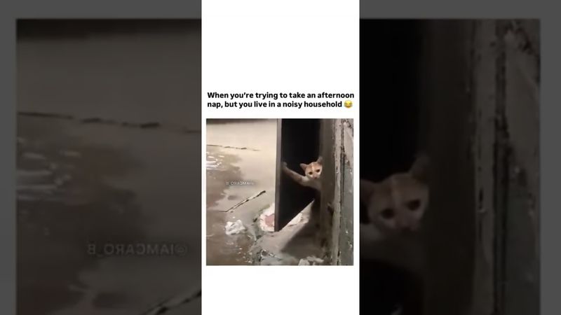 I know this feeling 😭😂