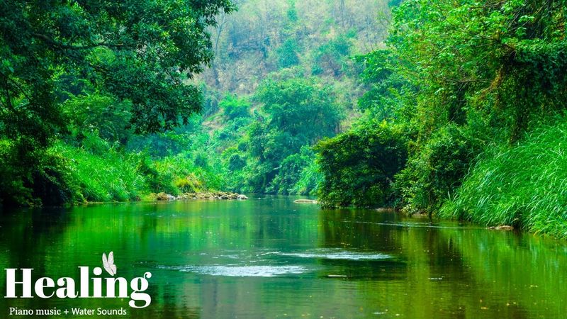 Soothing Music to Heal the Soul 🌿 Gentle Nature Sounds for Deep Sleep & Relaxation