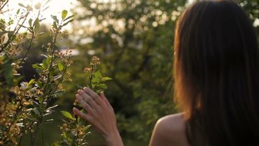 young woman walking in garden and touching plant at sunset ⚡️ No Copyright Background Video