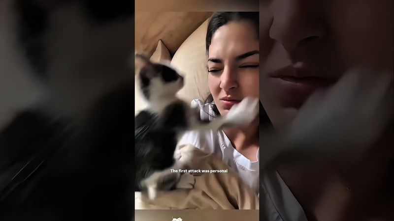 Cat:nothing just wanted to take a bite out of nowhere #catheaven #catfamily #catnews #catification