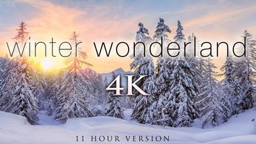 (4K) 11 Hours of Winter Wonderland + Calming Hang Drum Music for Relaxation, Stress Relief [UHD]