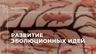 Развитие эволюционных идей   теоретический урок
