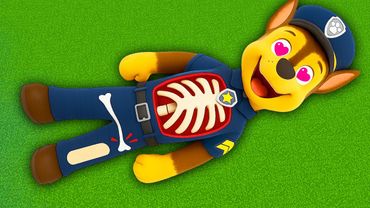 ГОНЩИК ЩЕНЯЧИЙ ПАТРУЛЬ ЗАБОЛЕЛ и ЕМУ СРОЧНА НУЖНА ОПЕРАЦИЯ В МАЙНКРАФТЕ