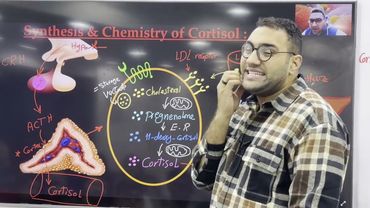 Endocrine crash course -4 (القصر العيني)