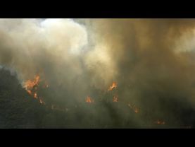 Thousands of firefighters combat three major fires in Portugal
