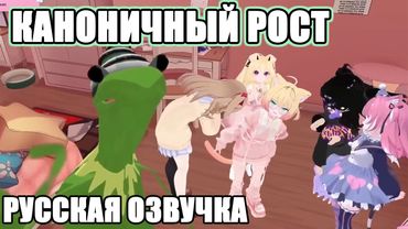 Vedal заставил всех выставить свой точный рост