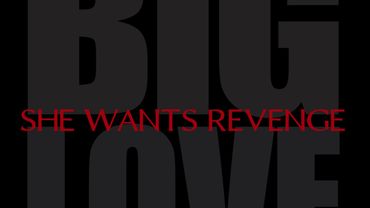 She Wants Revenge - Big Love