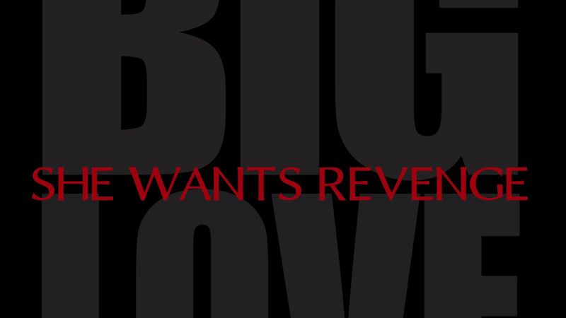 She Wants Revenge - Big Love