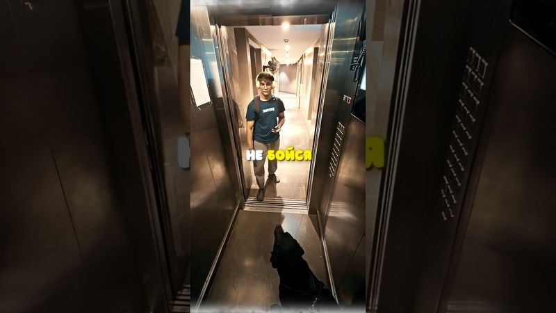 Внезапная концовка. Перестраховался