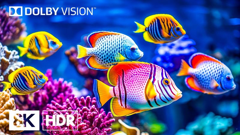 Vivid Ocean Depths in 8K HDR | Dolby Vision™