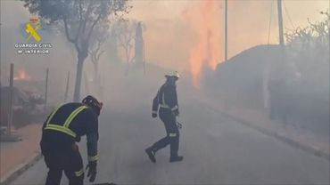 Мадрид окутало густым дымом из-за лесного пожара