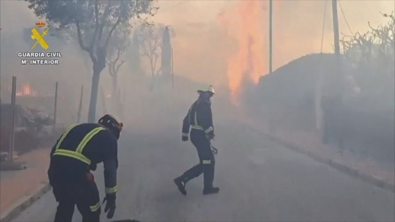 Мадрид окутало густым дымом из-за лесного пожара