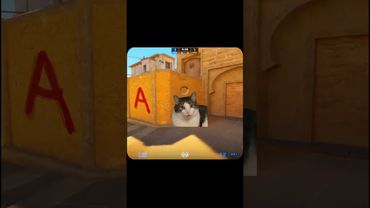 Тайлер исчез #cs2moments #cs2memes