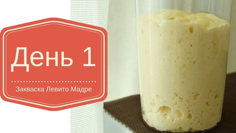ДЕНЬ 1  - ВЫВЕДЕНИЕ ЗАКВАСКИ ЛЕВИТО МАДРЕ СУХОЙ СПОСОБ НА ВИНОГРАДЕ И АБРИКОСЕ. // ЭКСПЕРИМЕНТ
