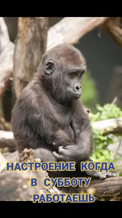 #позитивчик