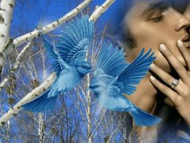 Я тебя простил.(Залкин) Очень трогательно.