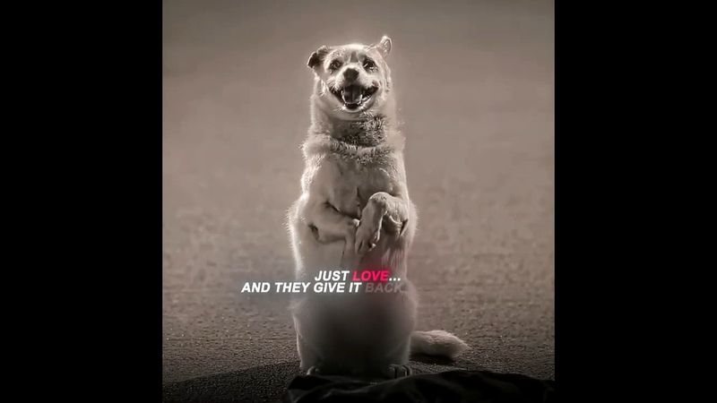 "Unconditional Love" | Edit #shorts