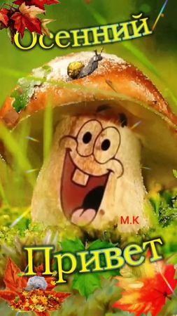 TikTok video #7014323751705742594