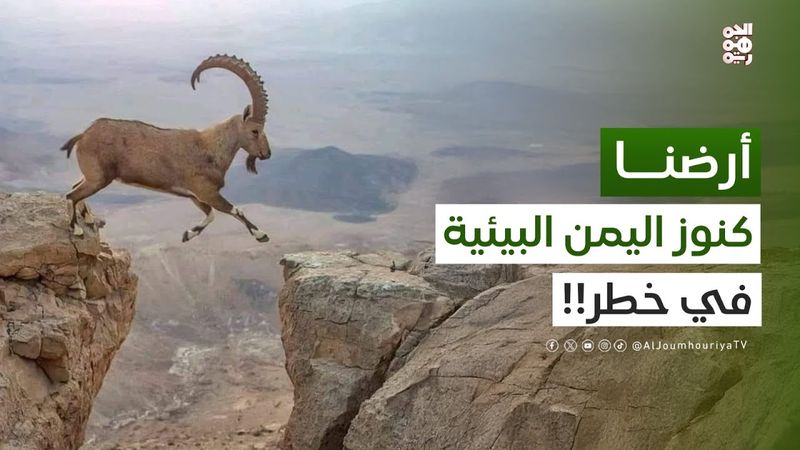 أرضنا | فقدان التنوع الحيوي.. تهديد حقيقي للحياة في اليمن!