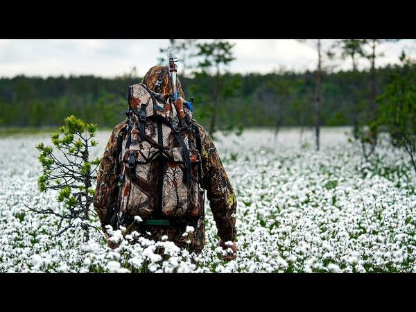 ОГРОМНАЯ ИЗБА! ПОПАЛ ПОД ПРОЛИВНОЙ ДОЖДЬ. ИДУ ЗА ЩУКОЙ.