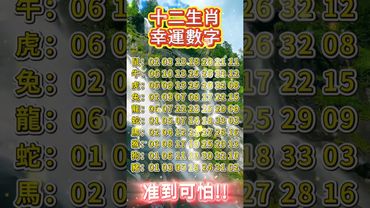 十二生肖的幸運數字！喜歡買字的你有福了！沒空也得接！#運勢 #生肖 #十二生肖 #正能量 #補財庫旺財氣 #玄學 #風水 #幸運數字 #國學文化 #道家文化 #傳承文化 #民間傳說