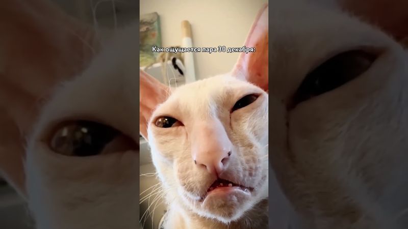 Вы там как, живы?