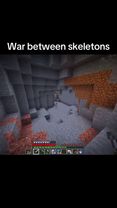 #minecraftmemes #skeleton #skeletonking #minecraft #view 