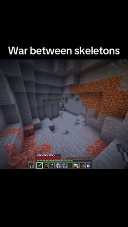 #minecraftmemes #skeleton #skeletonking #minecraft #view 