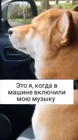 #врекпж #fypシ゚viral