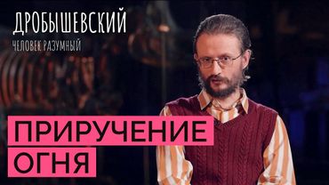 Зачем людям был нужен огонь? // Дробышевский. Человек разумный