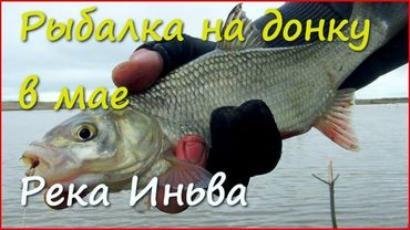 Холодный май, рыбалка на донку и всякая разная рыба.