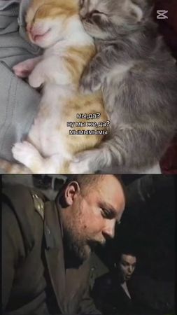 #рек #мем #зс #зеленыйслоник #зелёныйслоник #непотемеакка #мы 