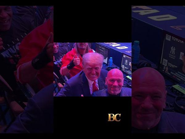 White House to host UFC fight, Trump announces