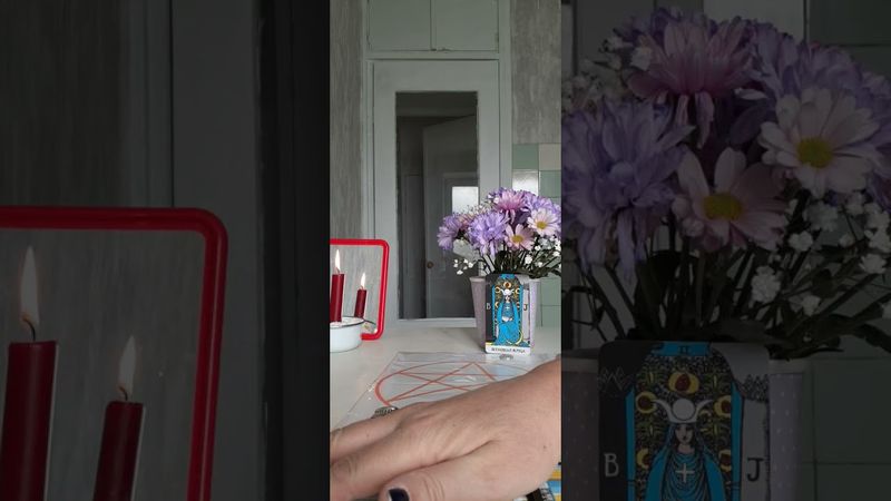 Злодеи,которые хотели отобрать жилье,разорить,поживится чужим остались на помойке бомжами!!!🔥🔥🔥