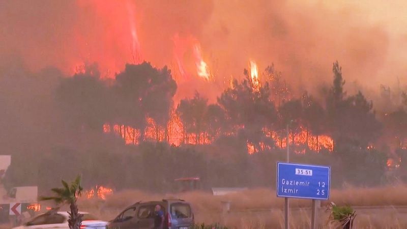 Лесные пожары в Турции: уже двое погибших