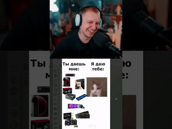 разница #стинт #stint #stintik #прикол #реакция